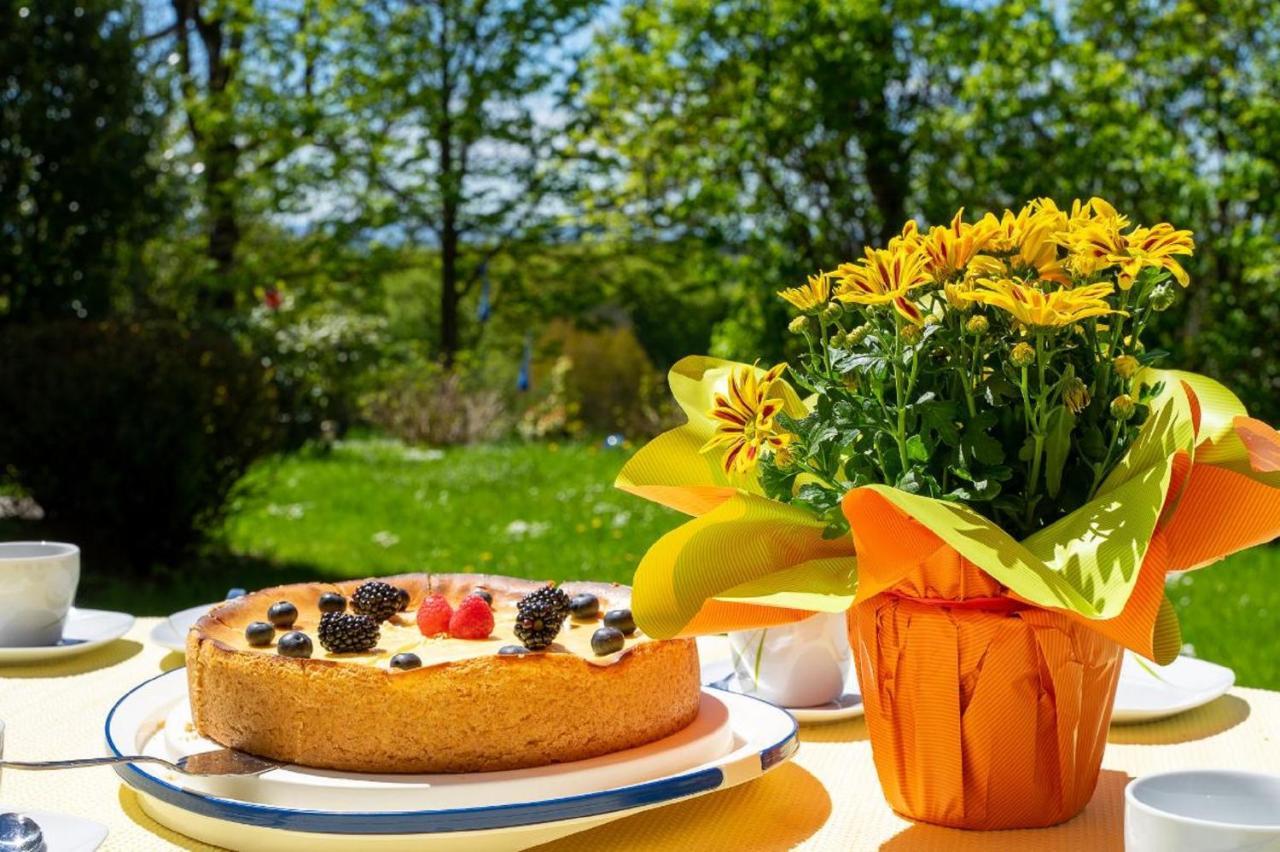 Ferienwohnungen Bauer - Auszeit Mit Ausblick Zenting ภายนอก รูปภาพ