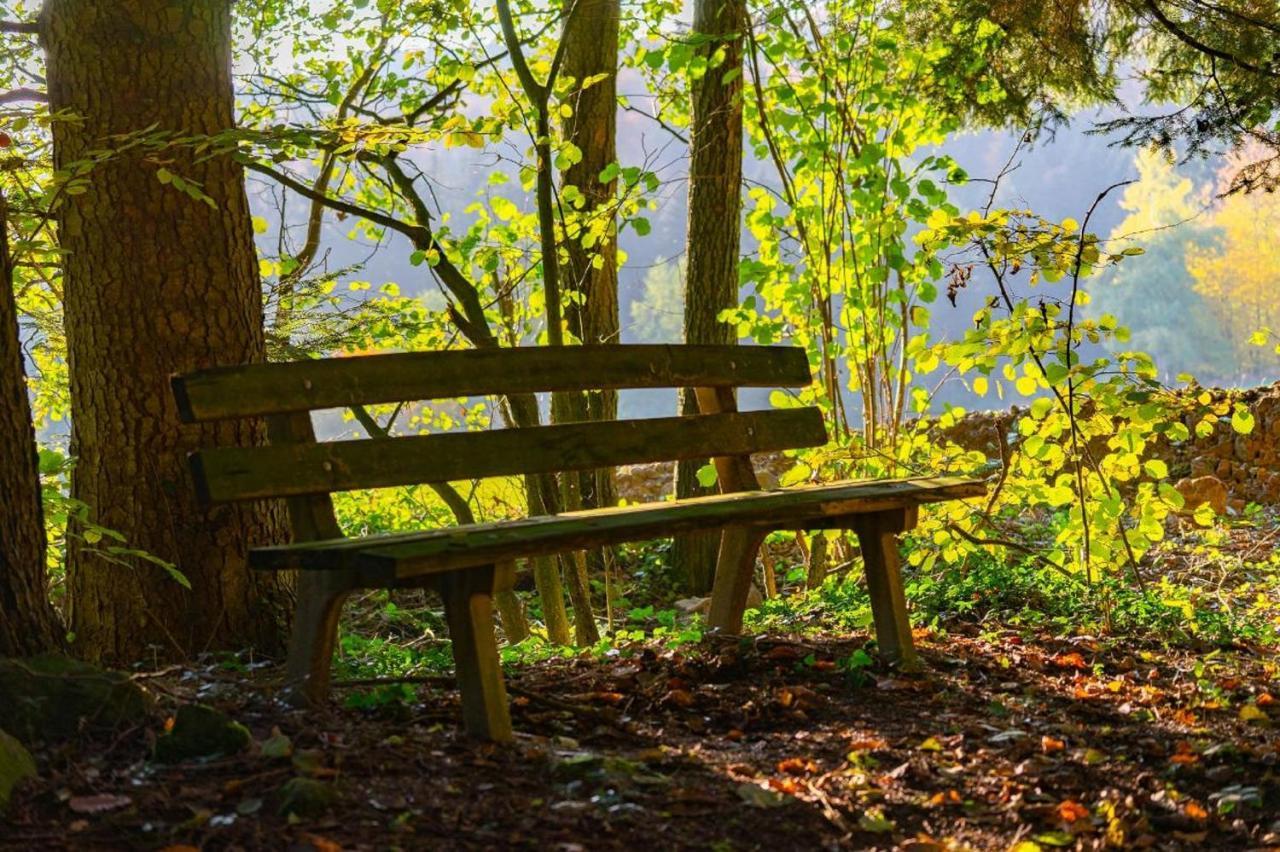 Ferienwohnungen Bauer - Auszeit Mit Ausblick Zenting ภายนอก รูปภาพ